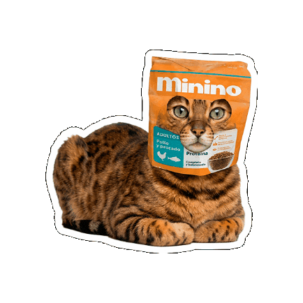 Seguroesporminino Sticker by Minino Plus®