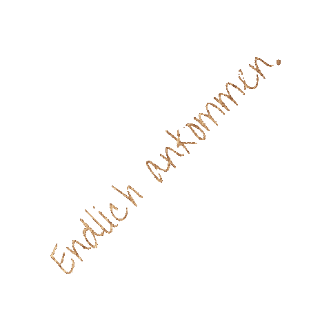 Coaching Ankommen Sticker by FrauHappinez