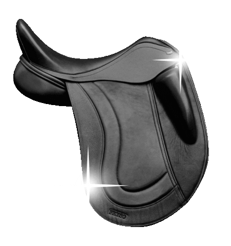 Tweespan Ruitersport Sticker