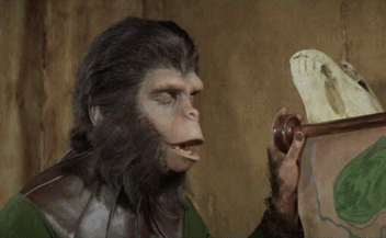 60s eye roll planet of the apes are you kidding me GIF