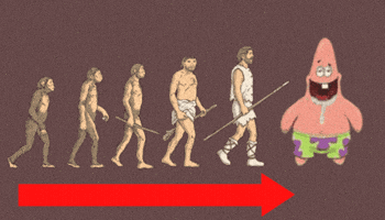 Human Evolution Dumb Patrick GIF
