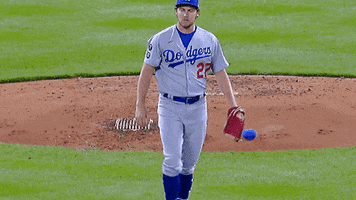Los Angeles Dodgers Sport GIF by Trevor Bauer