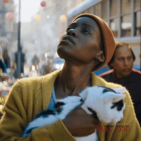 Lupita Nyongo Cat GIF by A Quiet Place: Day One