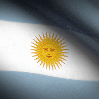 25 De Mayo Football GIF by xponentialdesign