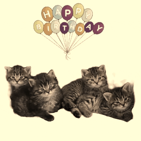 Digital compilation gif. Four kittens snuggle together with the text, "You're how old? You're kitten me!" under a bunch of birthday balloons waving in the breeze that spell "Happy Birthday."