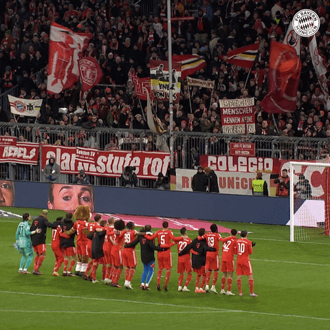 Football Sport GIF by FC Bayern Munich