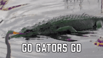 College Football GIF by Sealed With A GIF