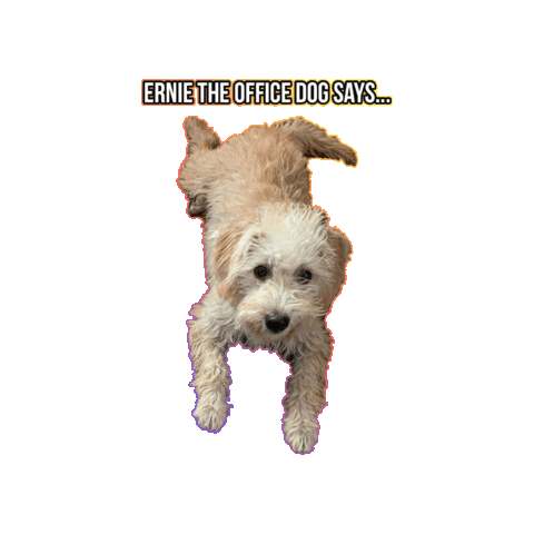 Lee Plumbing Muskoka Sticker