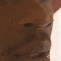 Sniffing GIFs - Get the best GIF on GIPHY Sniffing GIFs - Get the best GIF on GIPHY