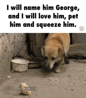 george love him GIF