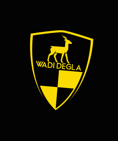 Wadi Degla Clubs GIF