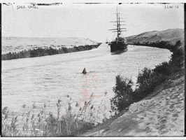 Sea Monster GIF