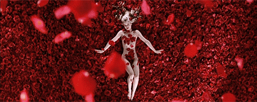 Image result for american beauty gif