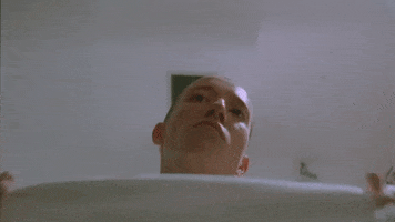 200.gif?cid=fc005b0847b31a695a28d512c6aa472917ac0a08400f83f7&rid=200.gif&ct=g