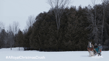 A Royal Christmas Crush GIF by Hallmark Channel
