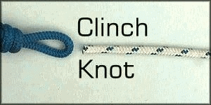  clinch GIF