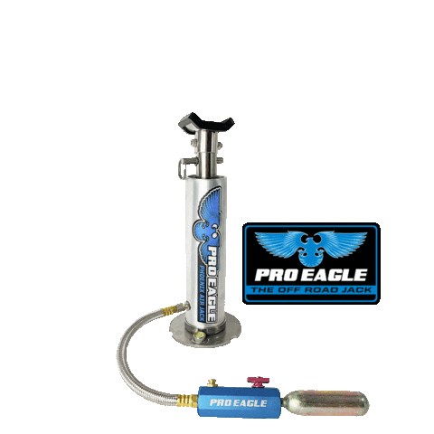 PRO EAGLE Sticker