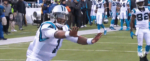 carolina panthers dab GIF by NFL