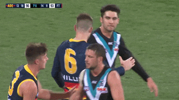 round 20 afl GIF by Adelaide Crows