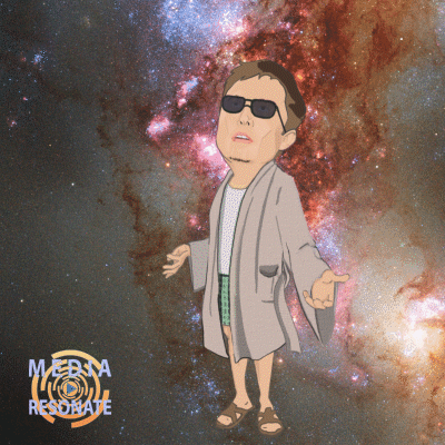 Elon Musk Weed GIF