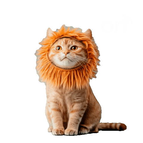 Corretor De Imoveis Sticker by CorretorON