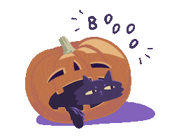 Trick Or Treat Cat Sticker
