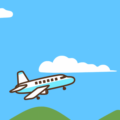 Travel Vacation GIF