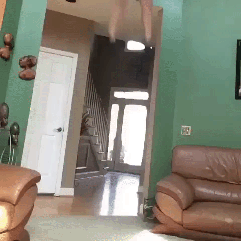 Anggel7x theflooris GIF