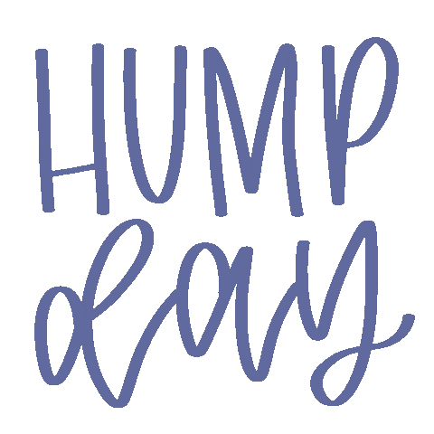 Hump Day Sticker