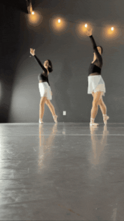 DancewearCenter dance dancing ballet pointe GIF