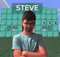 Steve GIF