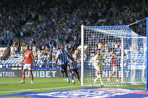 Goal GIF by Sheffield Wednesday Football Club