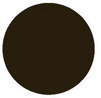 Black and Gold Beauty Center Sticker