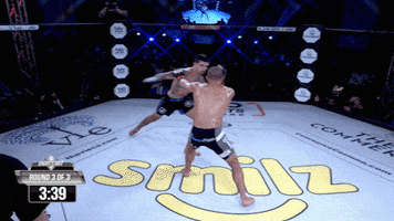 Lights Out Xtreme Fighting GIF