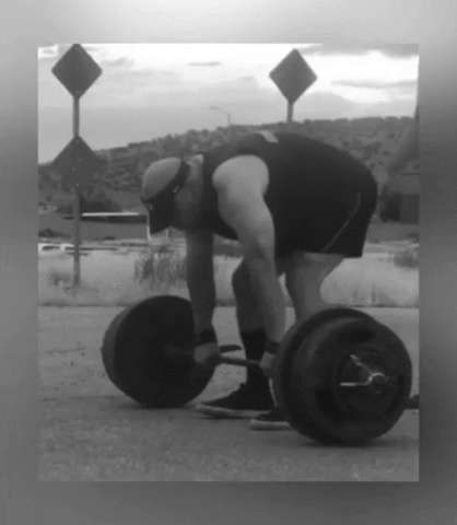 GIF by Desert Viking