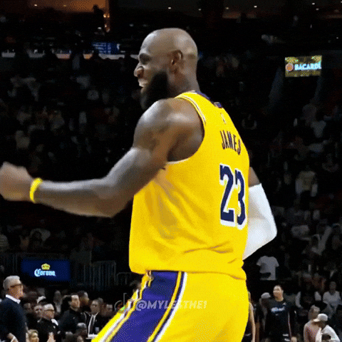 Lebron James Nba GIF
