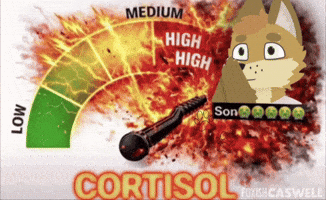 Son Cortisol GIF