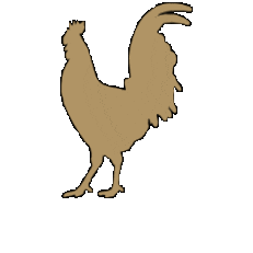 Stoney J's Winery Sticker