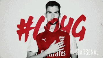 holding premier league GIF by Arsenal