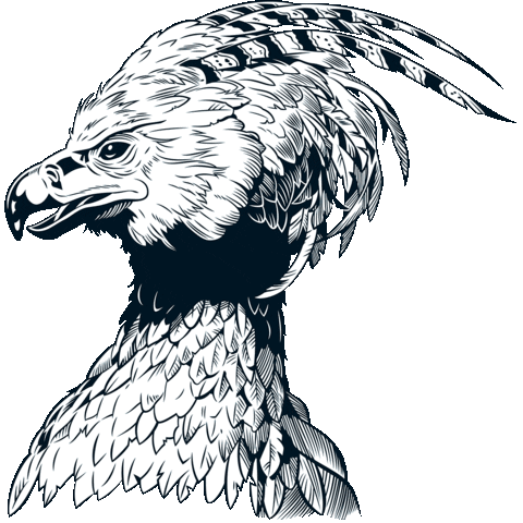 Mefaits Magiques Sticker by Warner Bros France