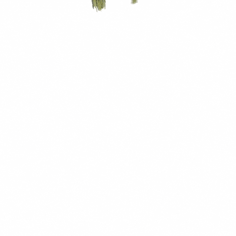House Falling GIF
