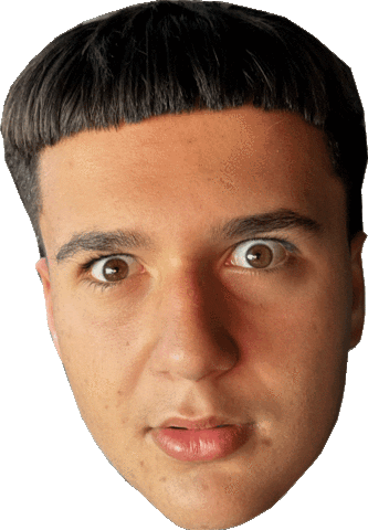 Headshake Sticker by God Loves Miami