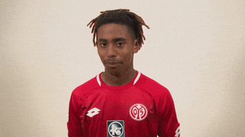 Leandro Barreiro GIF by 1. FSV Mainz 05