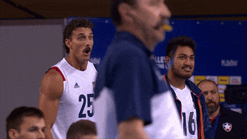 Jump Celebrate GIF by Volleyball World