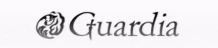 guardiaguardia GIF