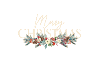 Christmas Sticker by Royals Church