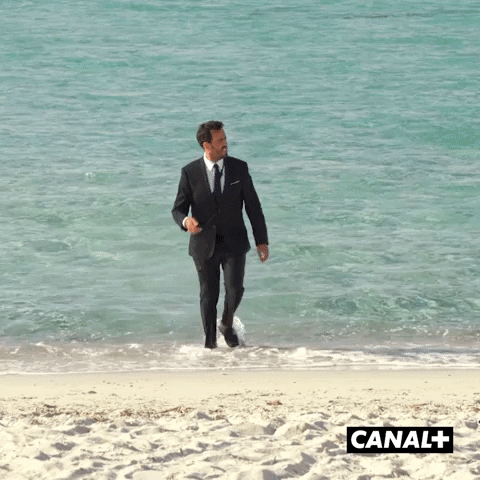 Canal Plus Beach GIF by CANAL+