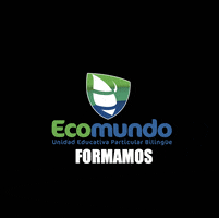 Estudio Bilingue GIF by Ecomundo