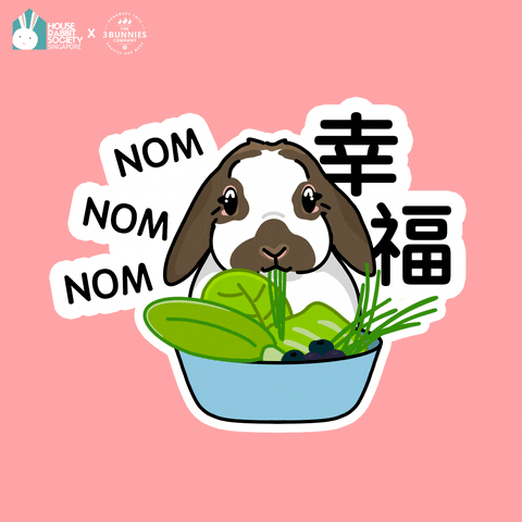 Eat Chinese New Year GIF by the3bunnies.co