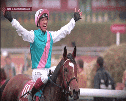 Frankie Dettori Horses GIF by World Horse Racing